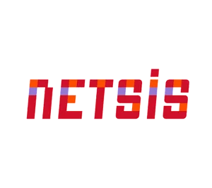 NETSIS-300x266.png